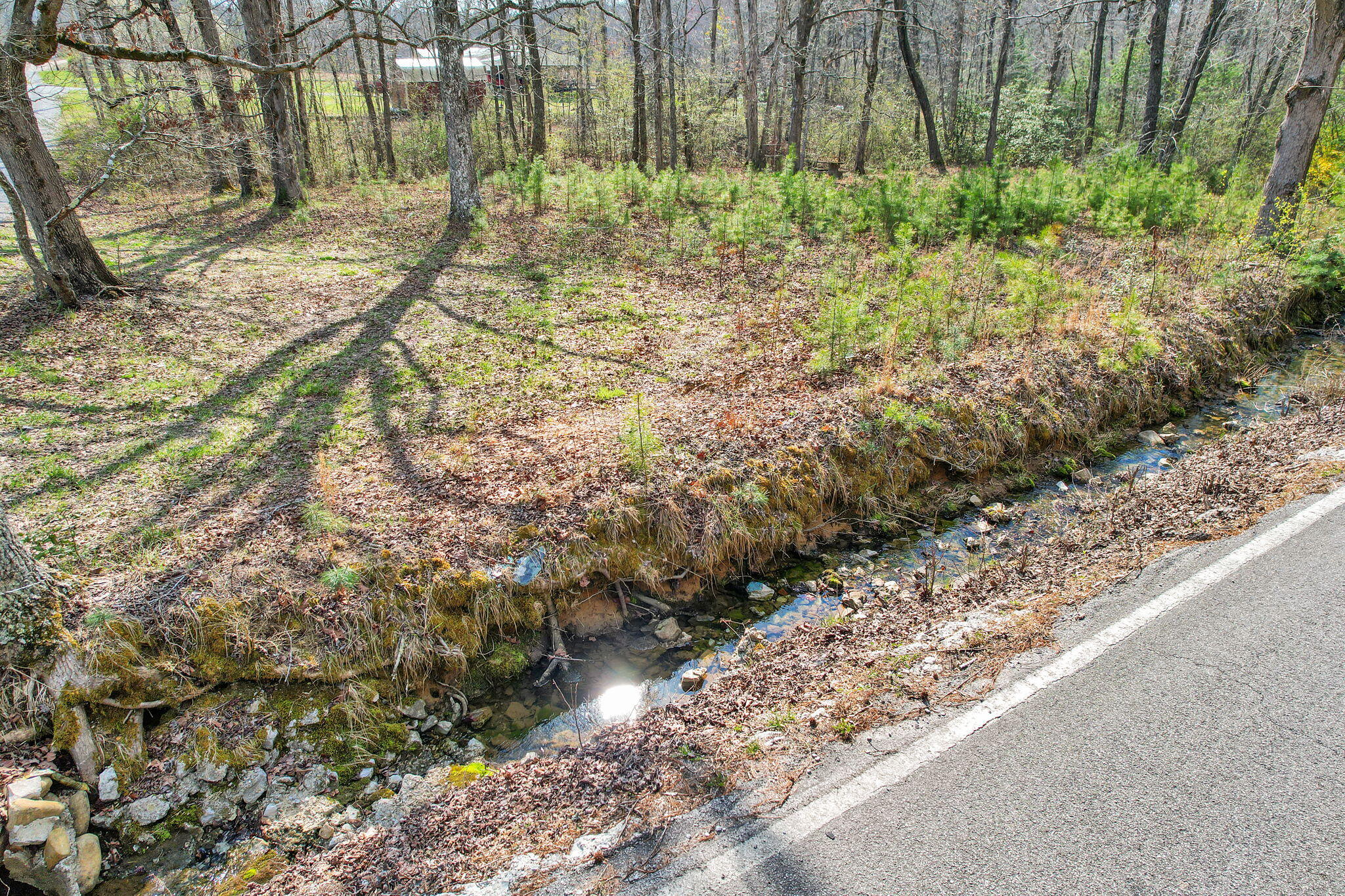 2337 Poe Road Soddy Daisy, TN 37379 - Photo 6 of 22 22-web-or-mls-DJI_0237