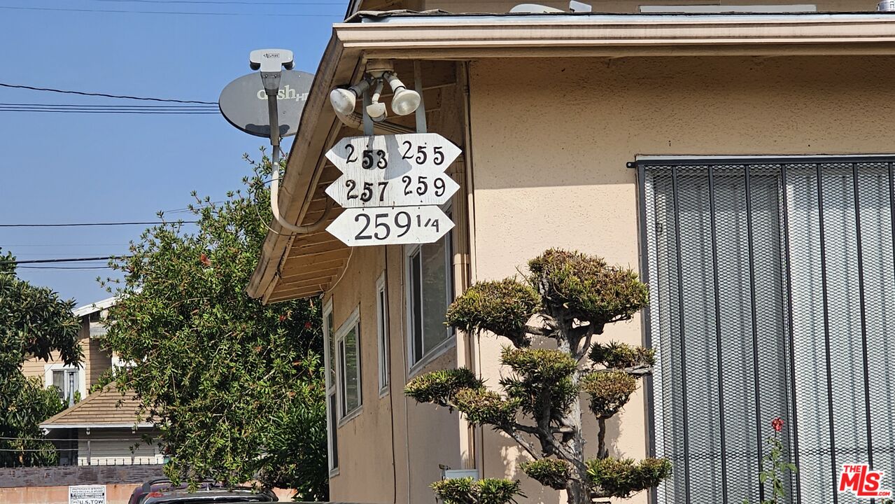 251 West 41st Place Los Angeles, CA 90037 - Photo 2 of 18 a close up of a potted plant on a wall