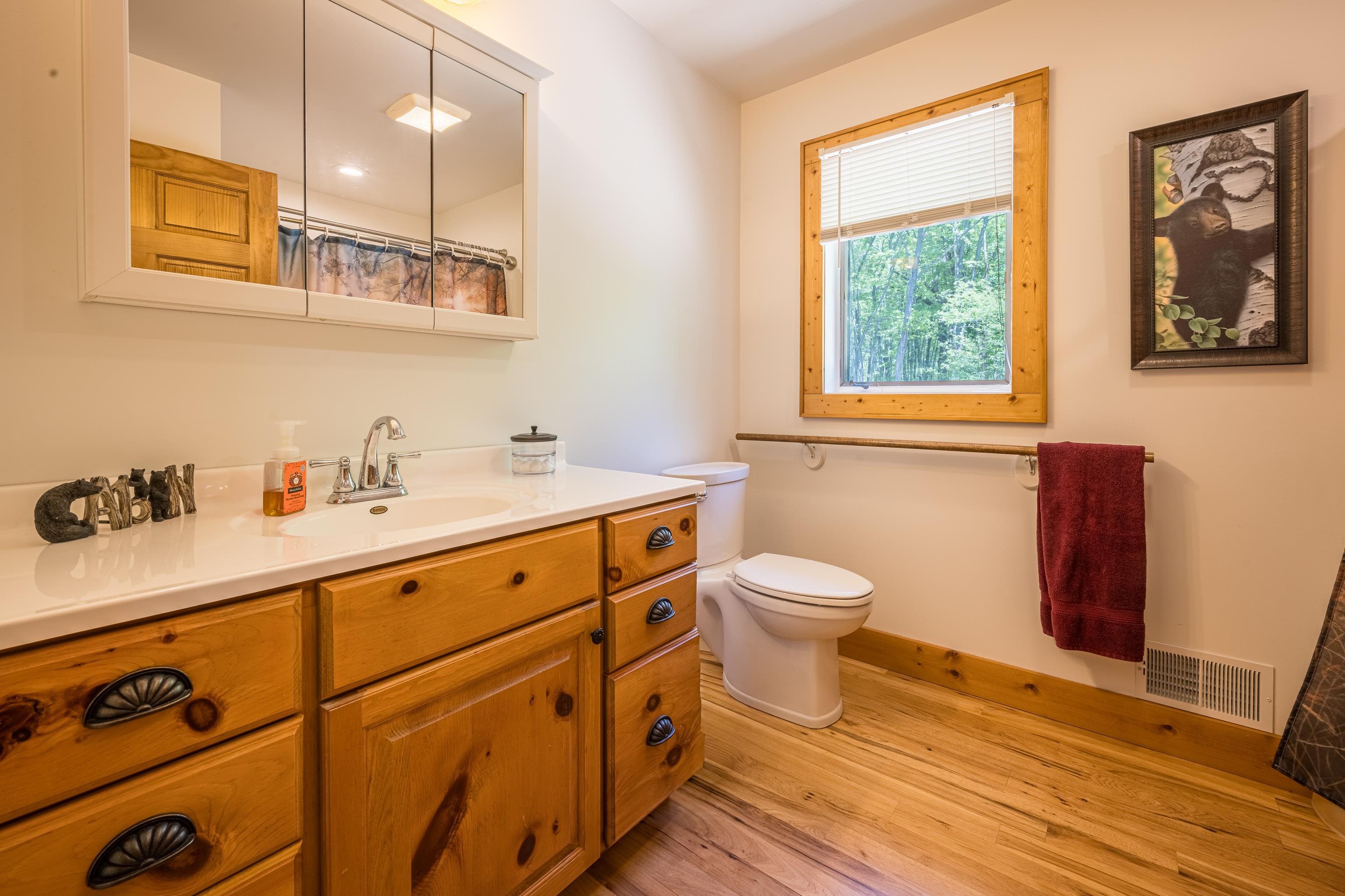 240 Hilts Road Gladwin, MI 48624 - Photo 28 of 97