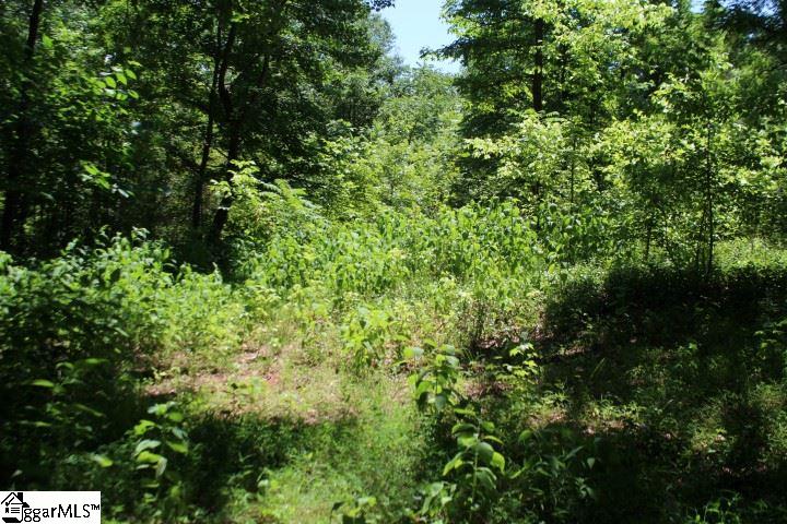 0 Chestnut Ridge Road Marietta, SC 29661 - Photo 1 of 4 Gallery Image 1