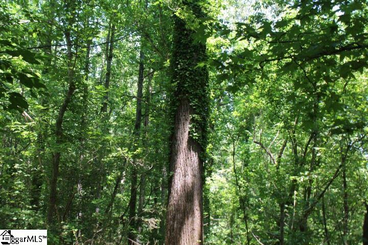 0 Chestnut Ridge Road Marietta, SC 29661 - Photo 3 of 4 Gallery Image 3