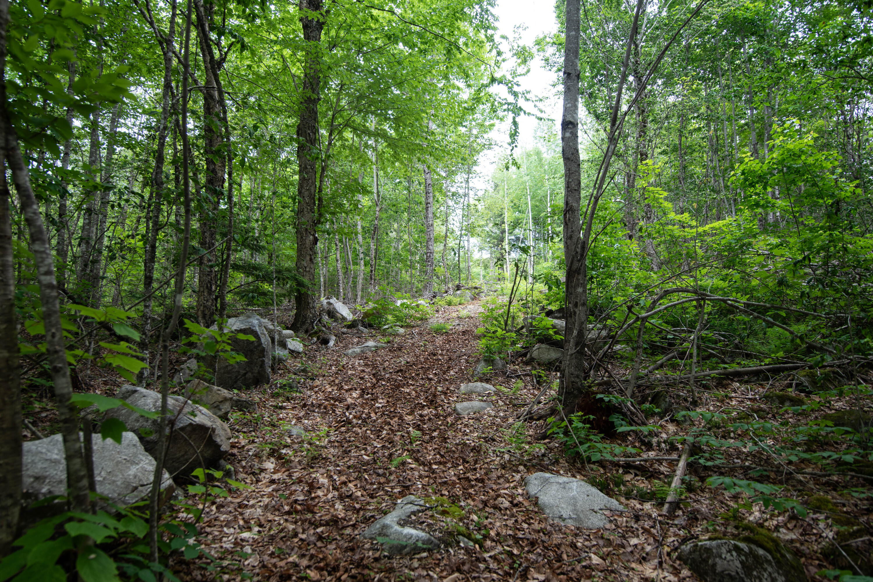3 Salmon Pt Lane Enfield, ME 04493 - Photo 17 of 28 21-5073