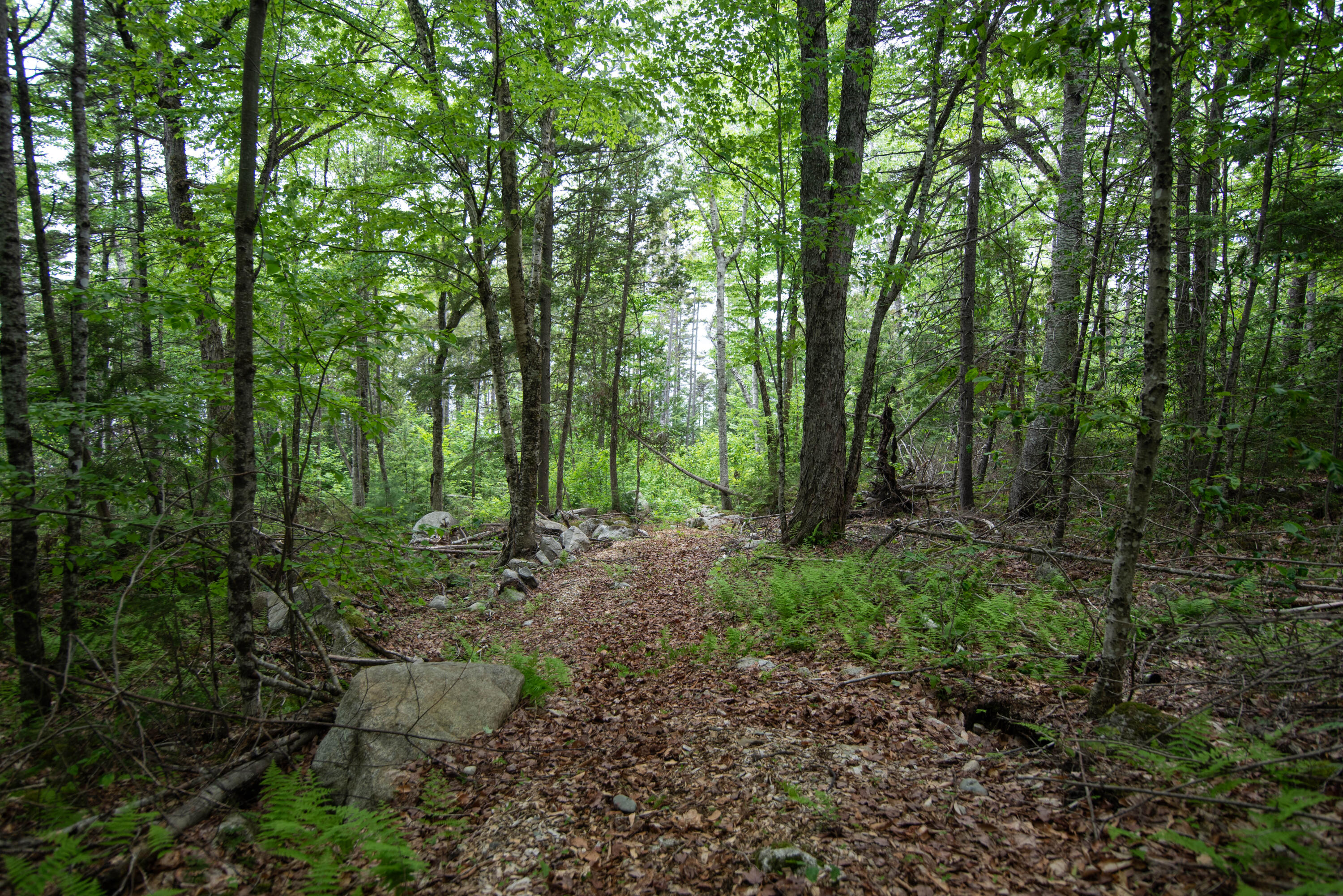 3 Salmon Pt Lane Enfield, ME 04493 - Photo 18 of 28 22-5080