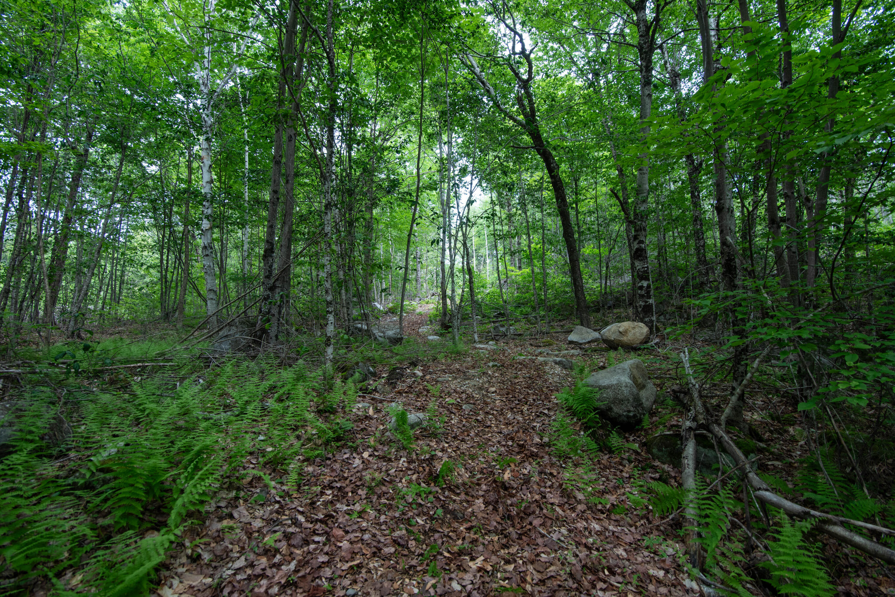 3 Salmon Pt Lane Enfield, ME 04493 - Photo 19 of 28 42-5331