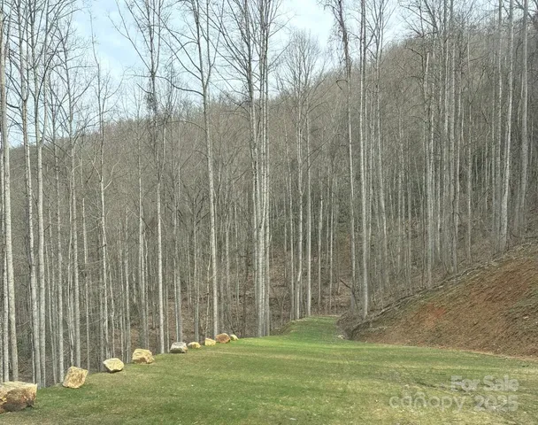 $72,000 | 269 Flowering Rdg Road, Whittier, NC 28789