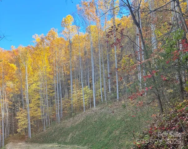 $72,000 | 269 Flowering Rdg Road, Whittier, NC 28789