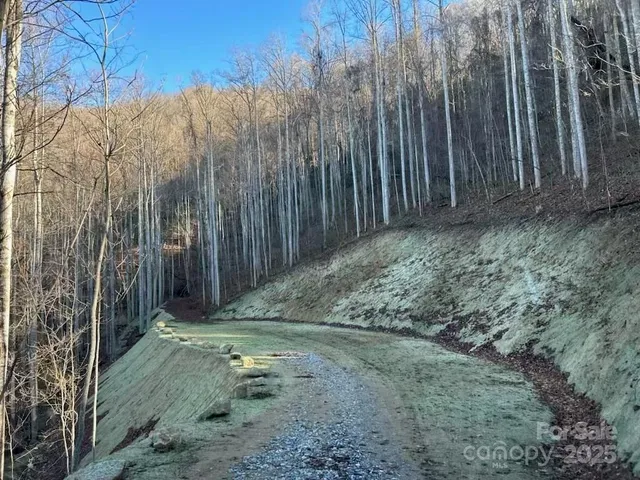 $72,000 | 269 Flowering Rdg Road, Whittier, NC 28789