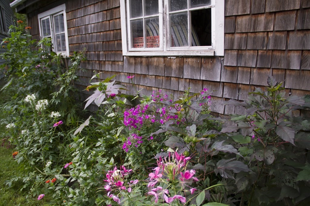 664 Main Road Chesterfield, MA 01012 - Photo 20 of 22 a view of a house with a lot of flower plants
