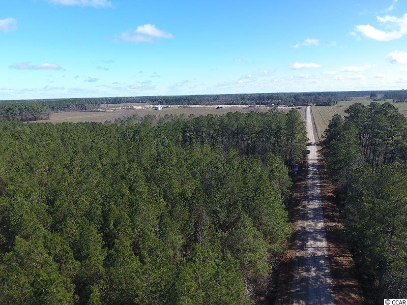 Goins Road Chadbourn, NC 28431 - Photo 3 of 11