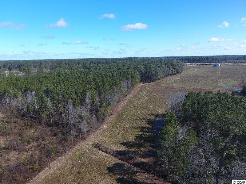 Goins Road Chadbourn, NC 28431 - Photo 8 of 11