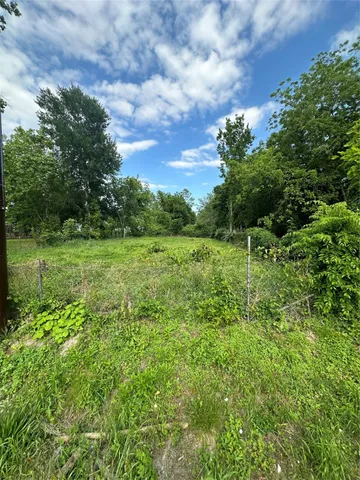 a view of a field with a tree in the background