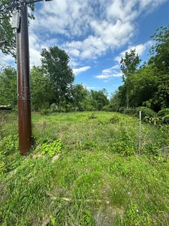a view of a field with a tree in the background