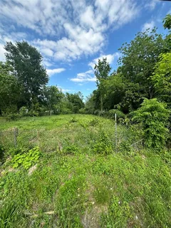 a view of a green field with lots of bushes
