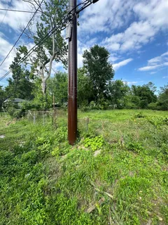 a view of a garden with a tree