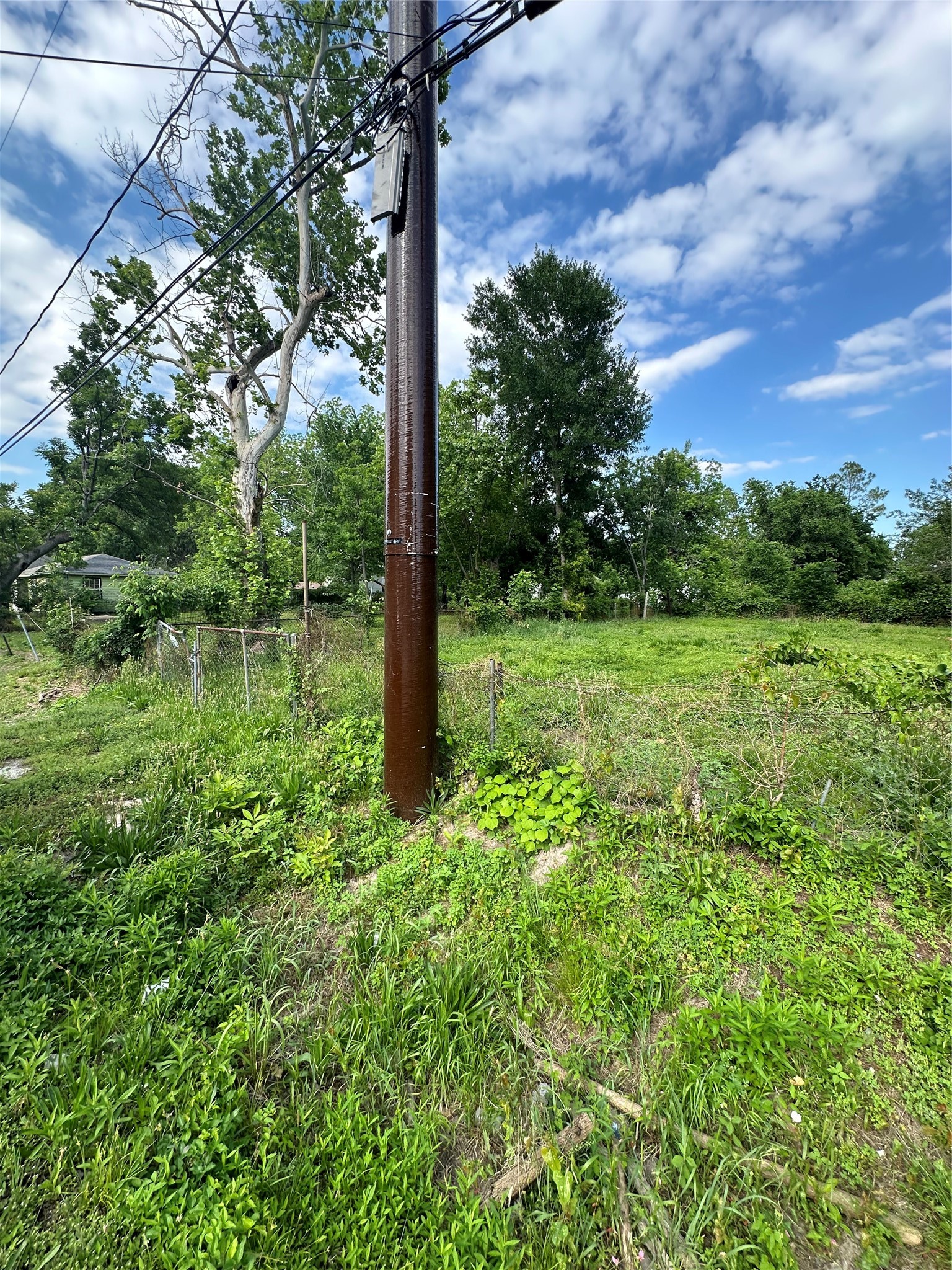 0 Falls Street Houston, TX 77026 - Photo 6 of 6 a view of a garden with a tree
