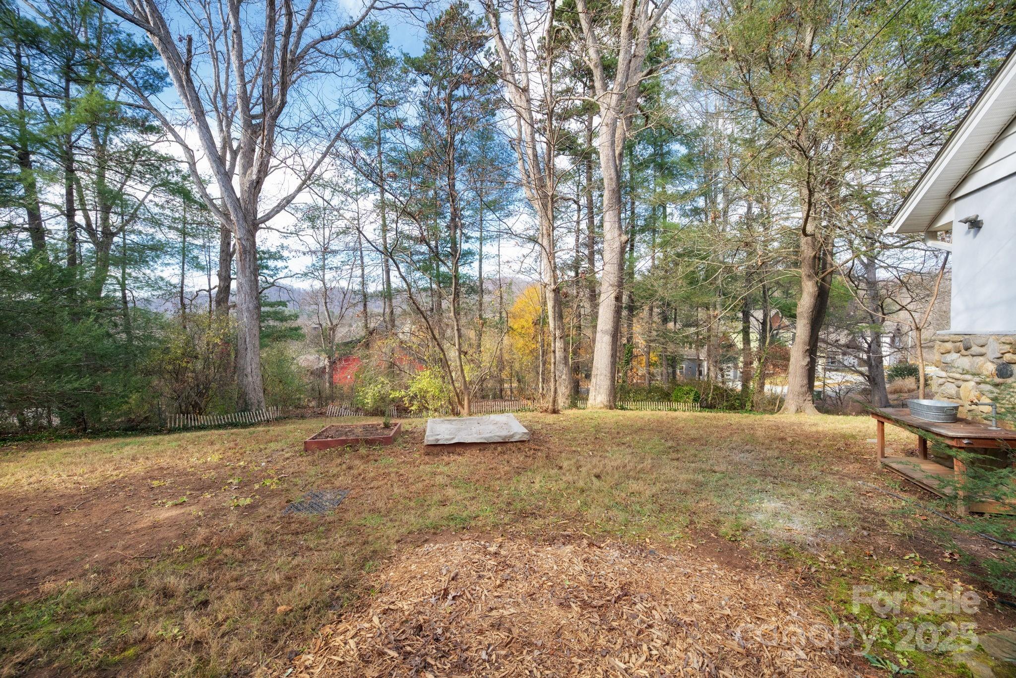 49 Pinedale Road Asheville, NC 28805 - Photo 3 of 38