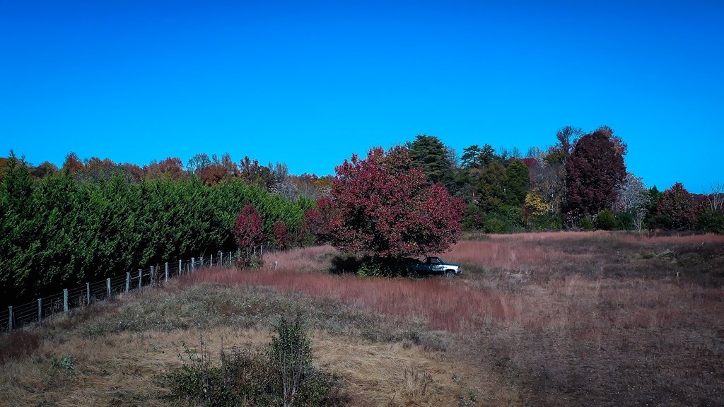 787 Warren County Park Road Rock Island, TN 38581 - Photo 4 of 20 Gallery Image 4
