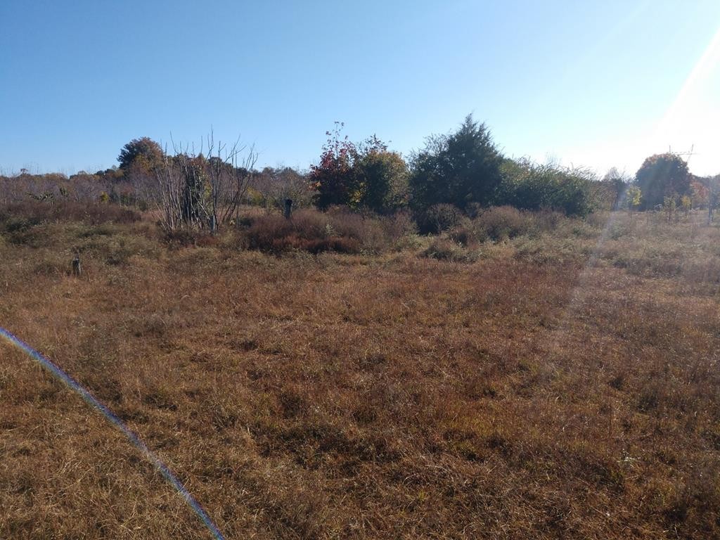 787 Warren County Park Road Rock Island, TN 38581 - Photo 5 of 20 Gallery Image 5