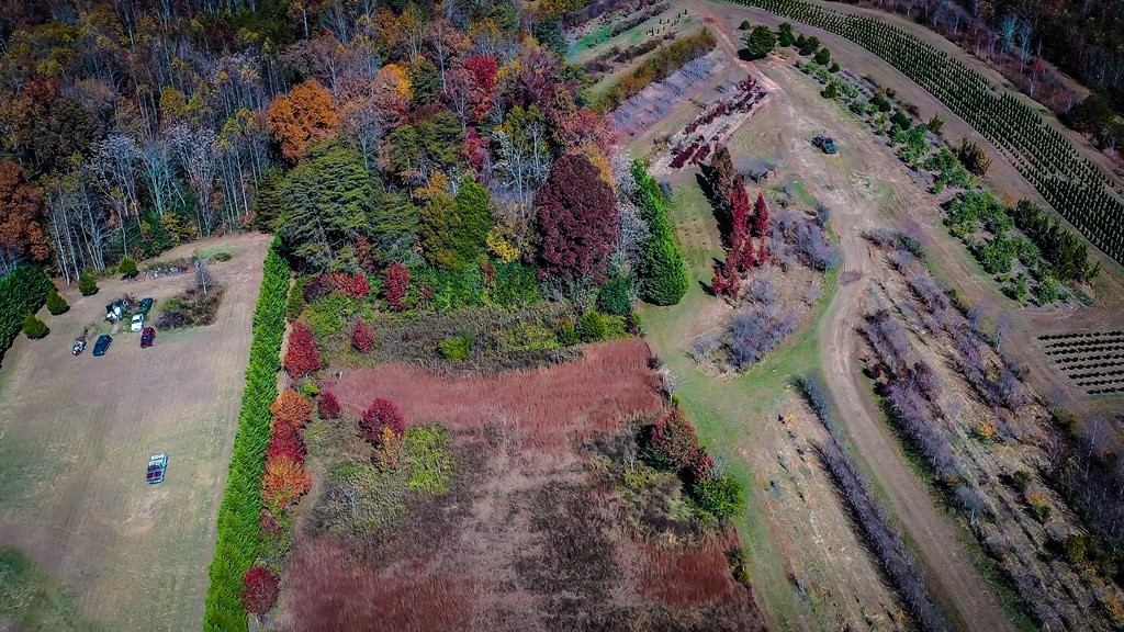 787 Warren County Park Road Rock Island, TN 38581 - Photo 8 of 20 Gallery Image 8