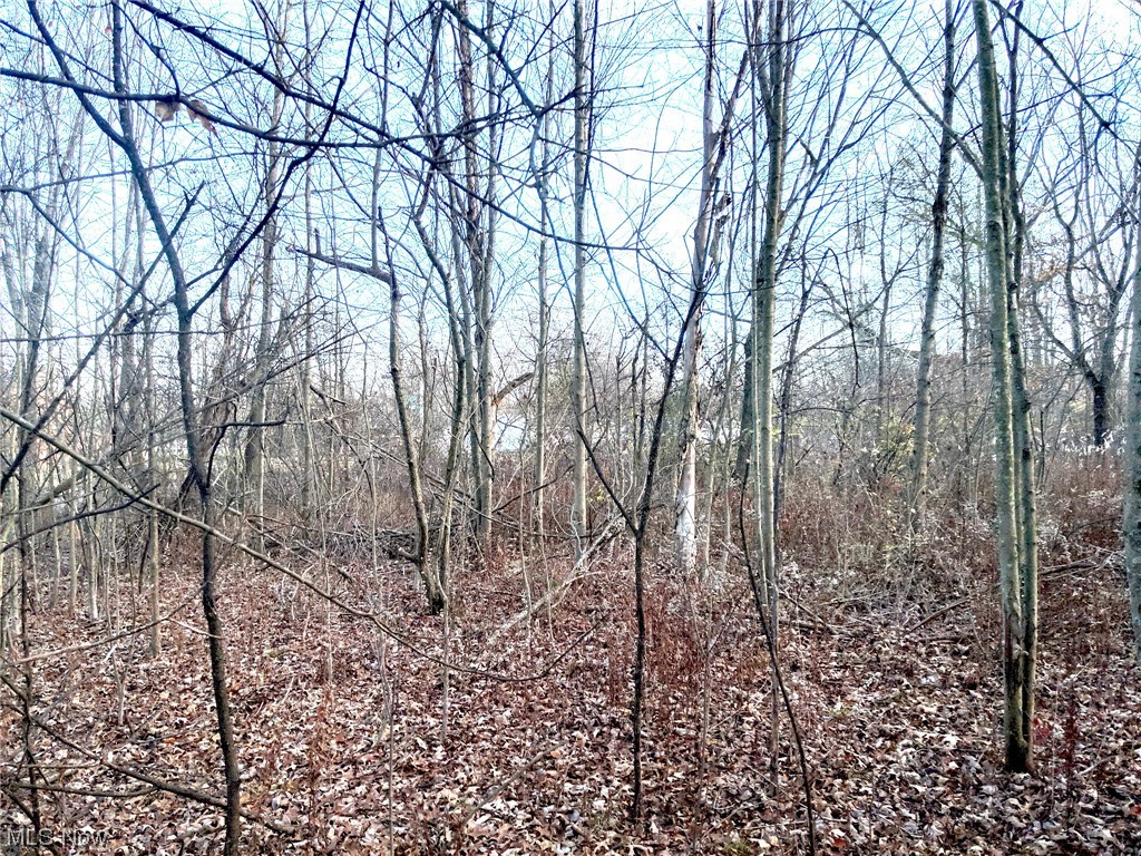 0 South Meridian Road Youngstown, OH 44515 - Photo 11 of 24 View of nature