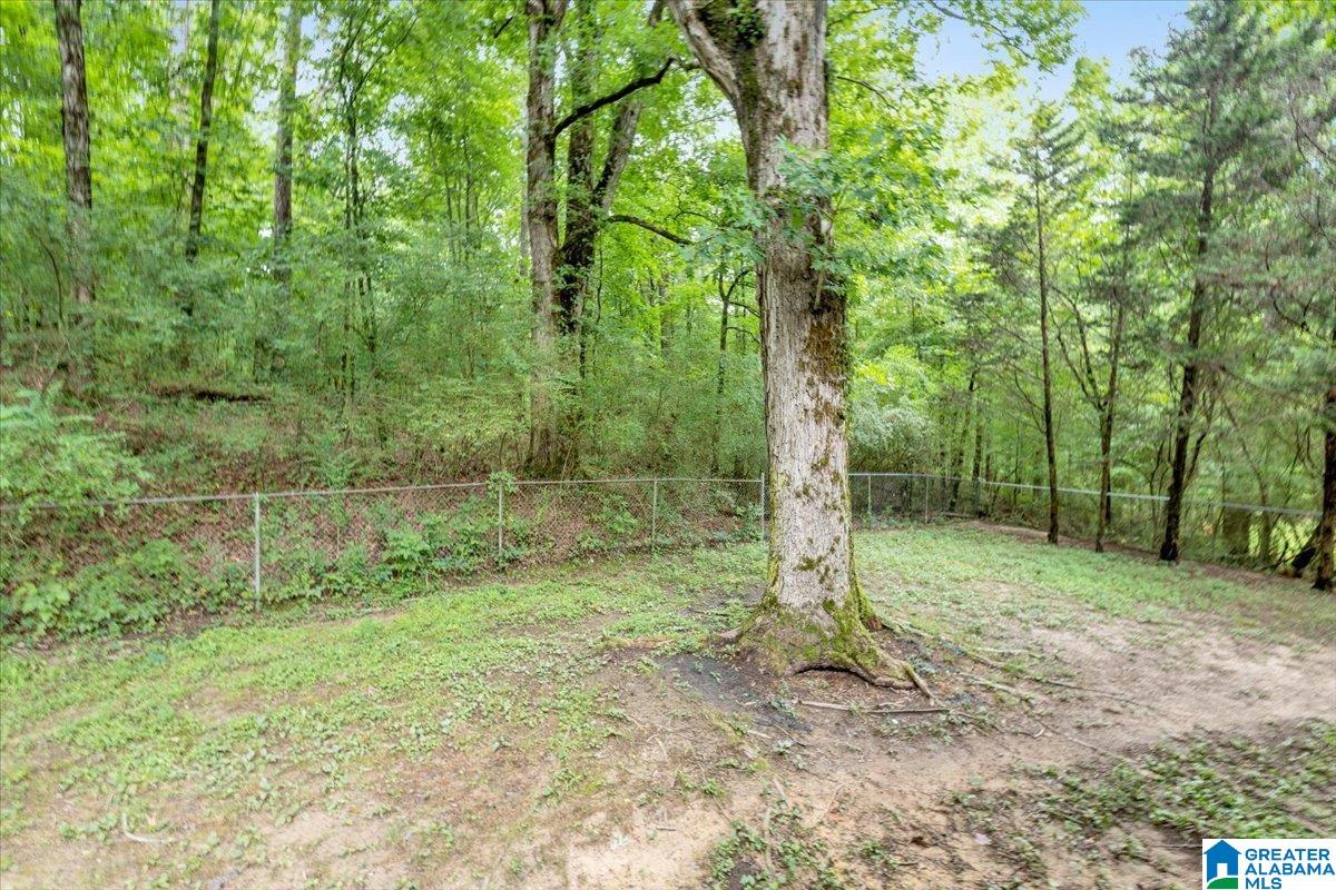 7257 Roper Road Trussville, AL 35173 - Photo 21 of 25