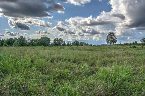$127,000 | 0 County Road 818, Bryant, AL 35958