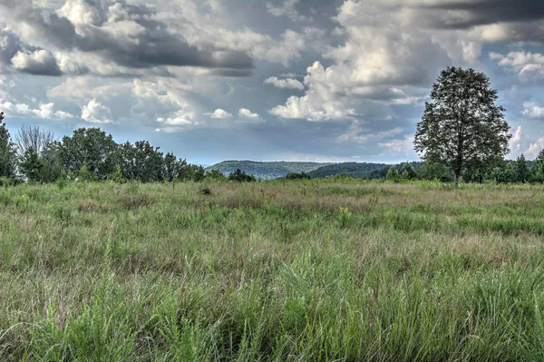 $127,000 | 0 County Road 818, Bryant, AL 35958
