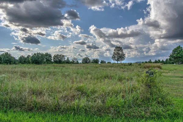 $127,000 | 0 County Road 818, Bryant, AL 35958