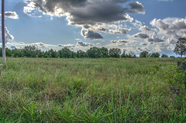 $127,000 | 0 County Road 818, Bryant, AL 35958