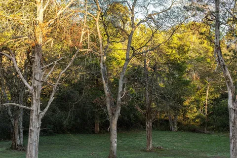 $950,000 | 709 Tahlena Avenue, Madison, TN 37115