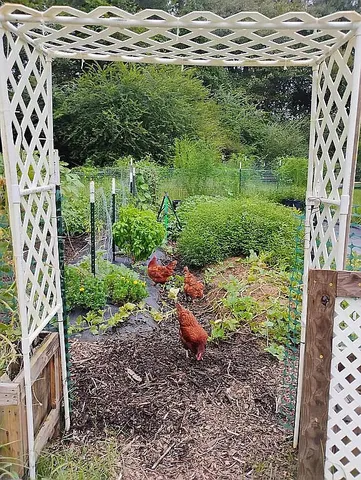 $244,999 | 650 Satellite Road, Graceville, FL 32440