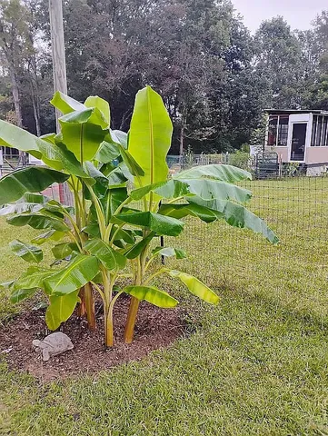 $244,999 | 650 Satellite Road, Graceville, FL 32440