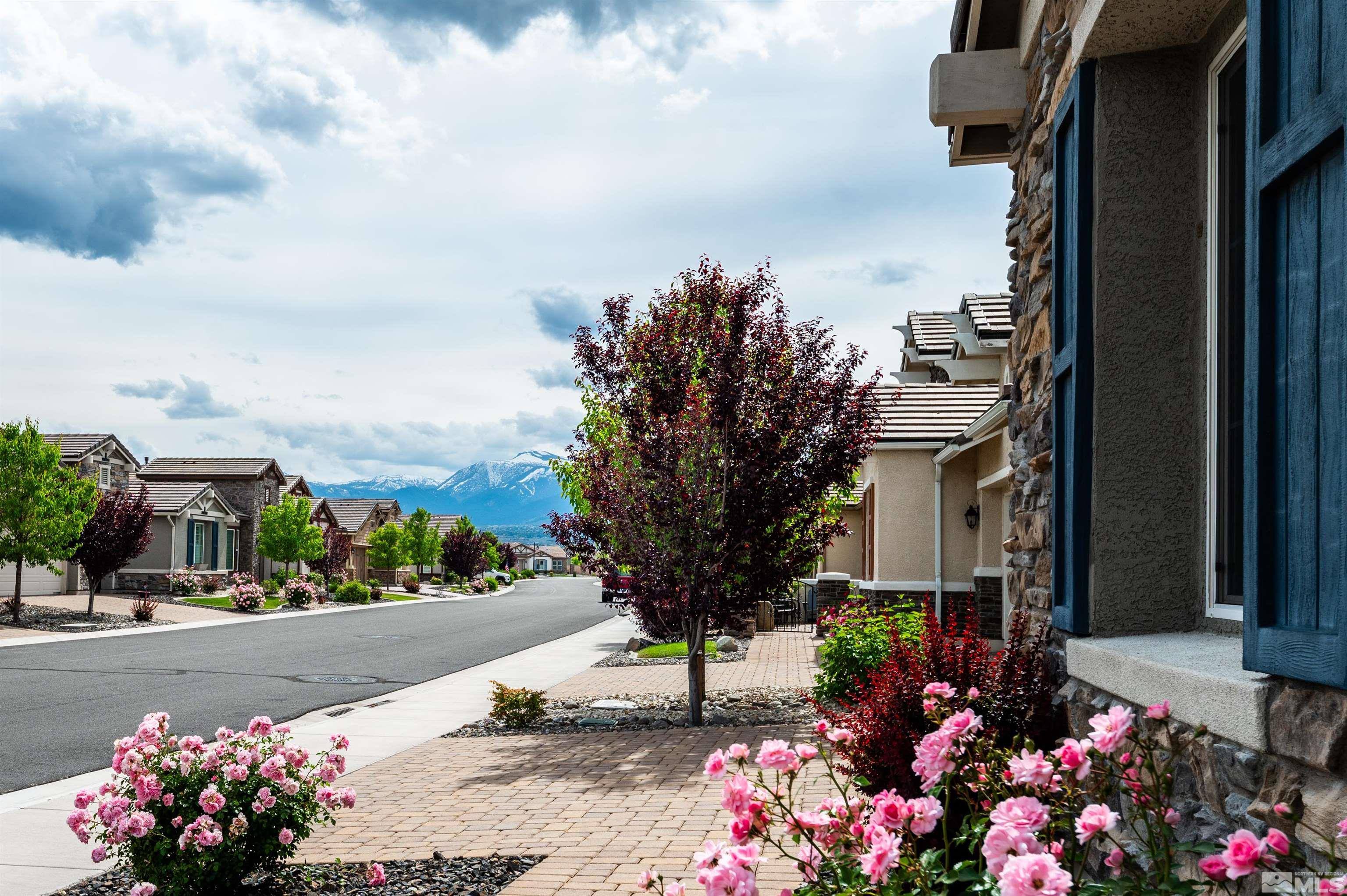 2305 Trakehner Lane Reno, NV 89521 - Photo 2 of 40 a view of street with flower on side of it