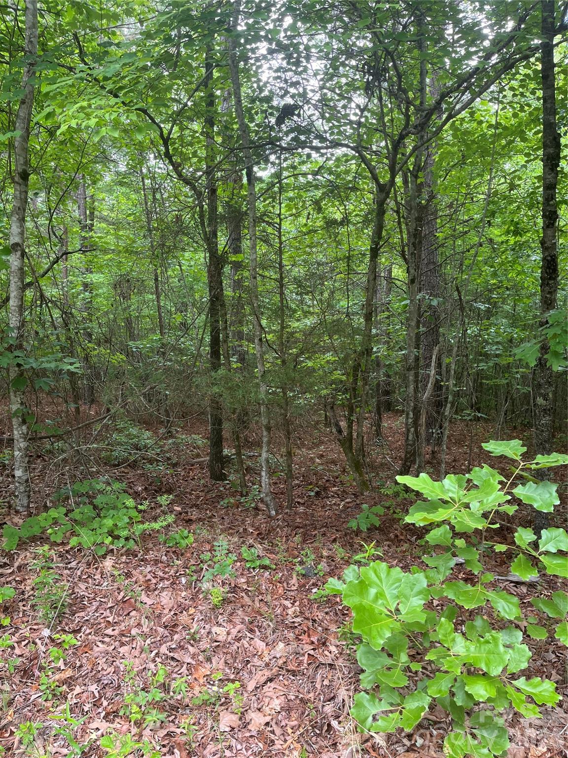 2426 Ore Bank Road Smyrna, SC 29743 - Photo 9 of 17 Gallery Image 9