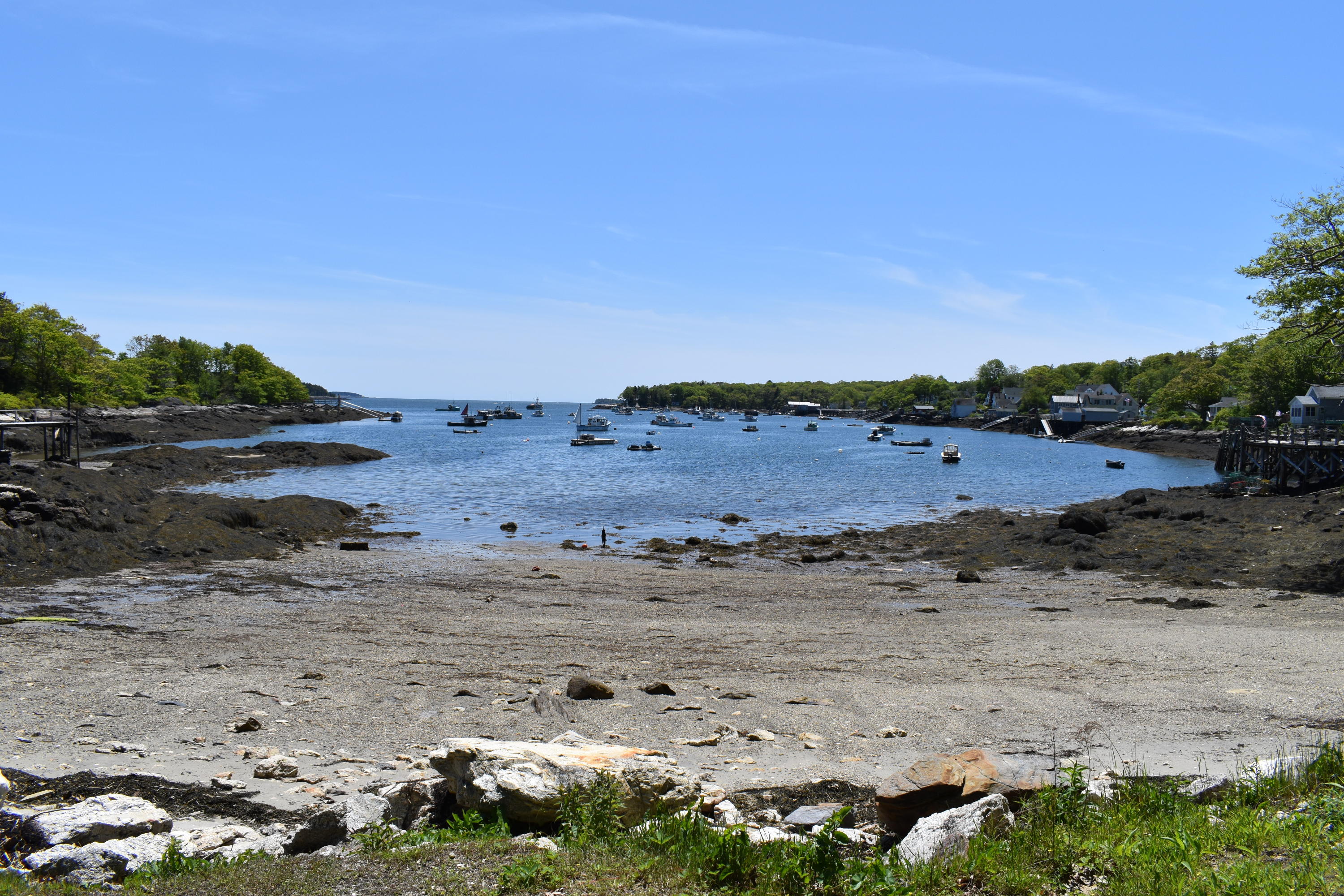 45 Field Road Harpswell, ME 04079 - Photo 4 of 35 DSC_0166