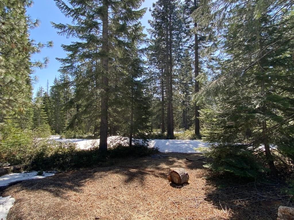 7 Ridge Drive McCloud, CA 96057 - Photo 10 of 26 Gallery Image 10