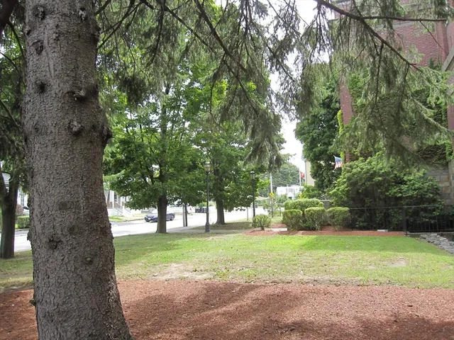 a view of green field