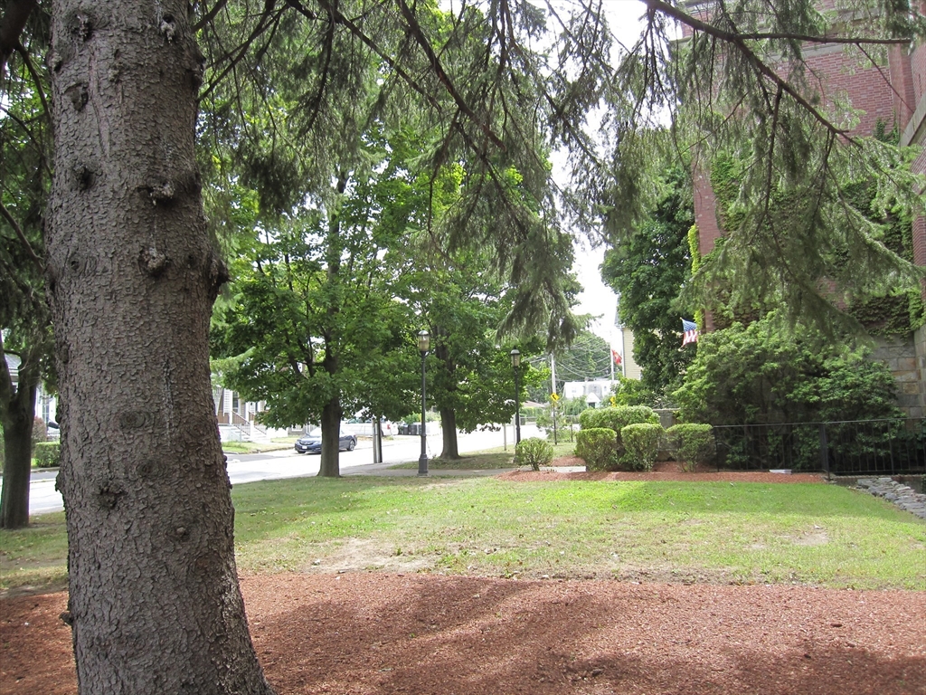 147 Rawson Road, Unit G3 Quincy, MA 02170 - Photo 20 of 20 a view of green field