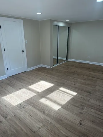a view of a big room with wooden floor and closet