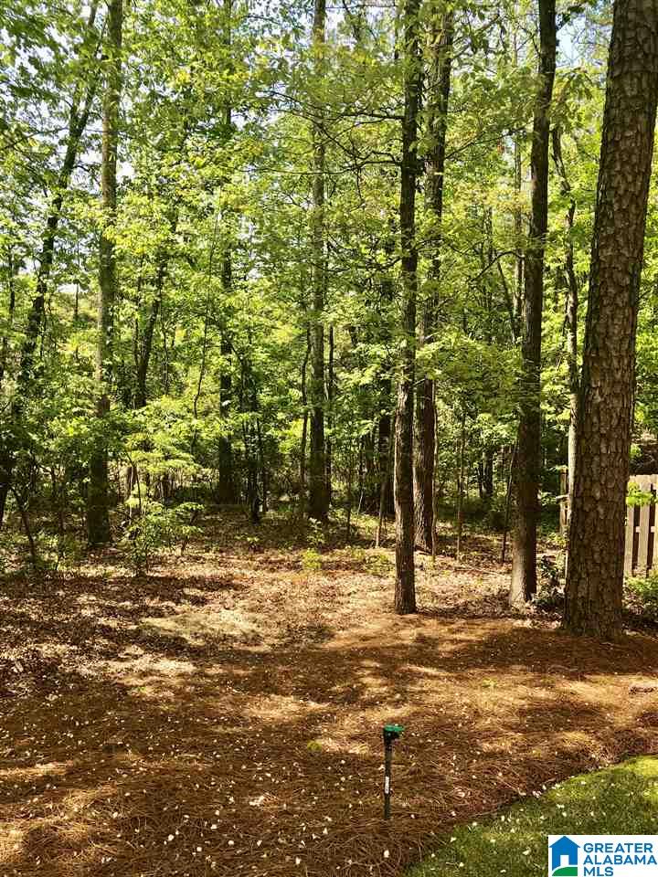 4317 Milner Road East Birmingham, AL 35242 - Photo 47 of 50