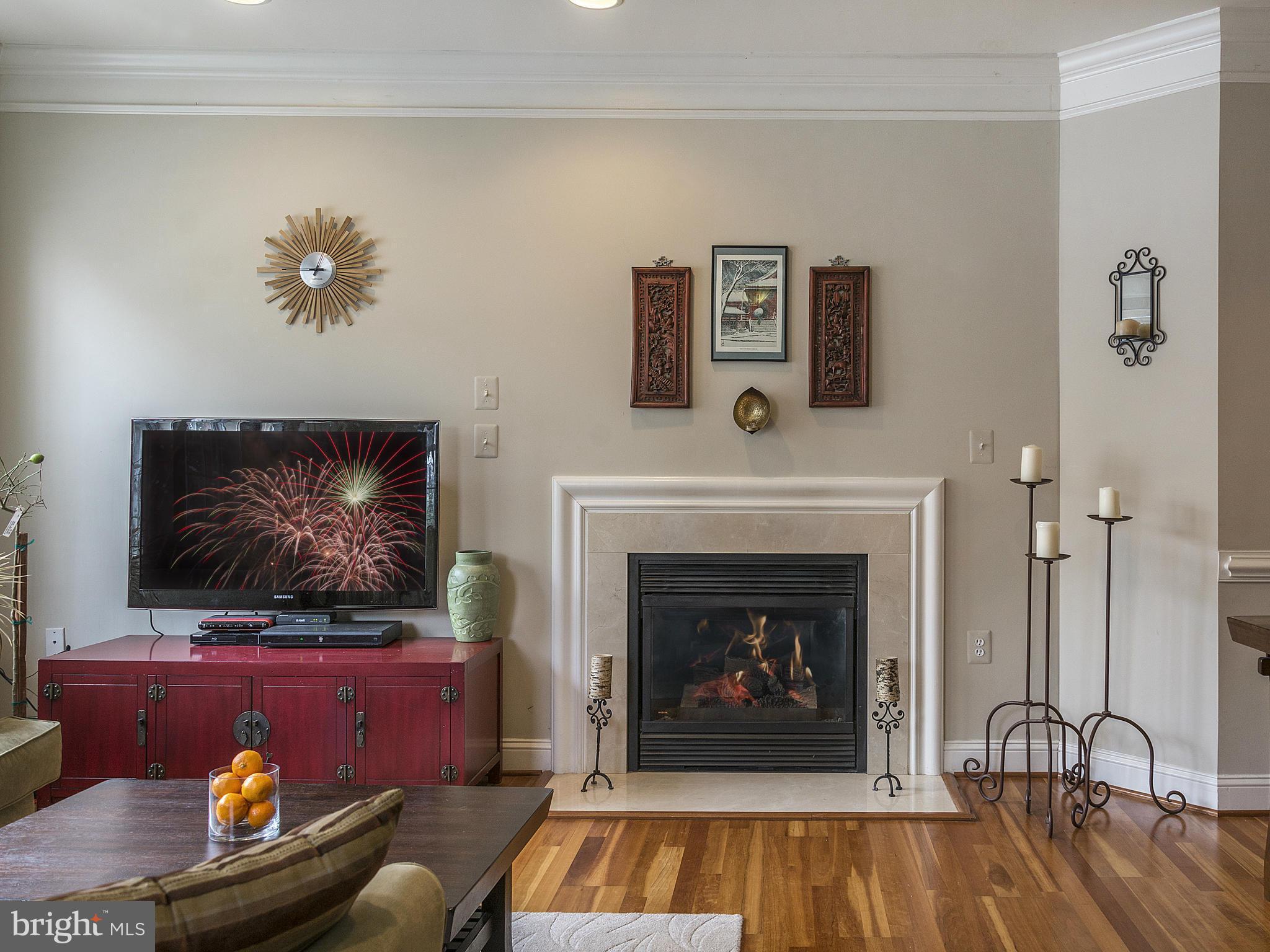 101 Bucksfield Road Gaithersburg, MD 20878 - Photo 3 of 30 Living Room