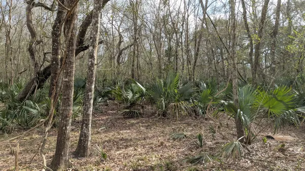 $110,000 | 19910 County Road 684A, Sweeny, TX 77480
