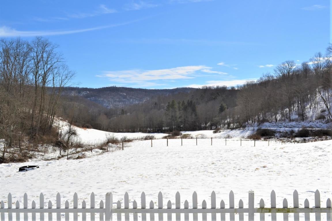 9635 Lobelia Road Hillsboro, WV 24946 - Photo 12 of 29 Gallery Image 12