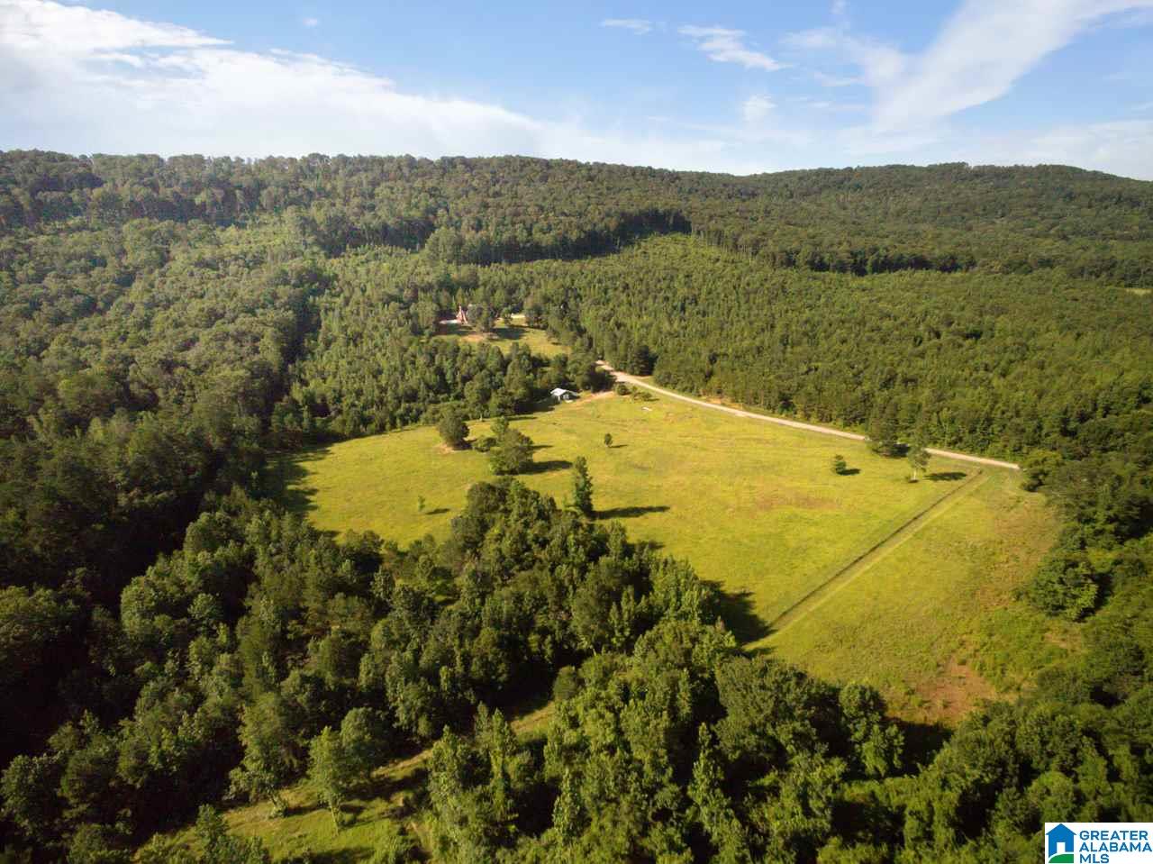 5015 Sumatanga Road Steele, AL 35987 - Photo 49 of 50