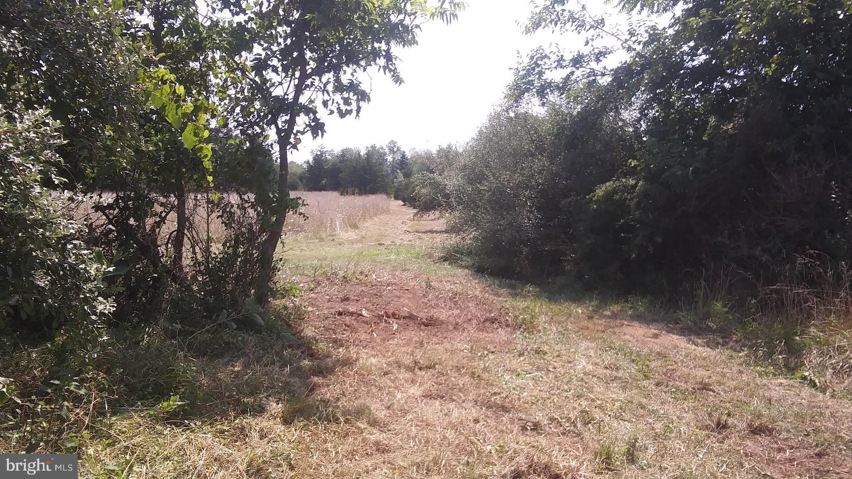 Wright Brothers Ct Summit Point Summit Point, WV 25446 - Photo 16 of 28