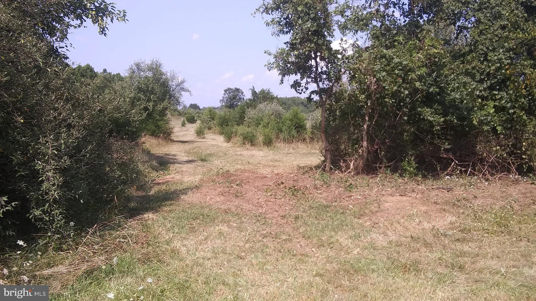 Wright Brothers Ct Summit Point Summit Point, WV 25446 - Photo 17 of 28