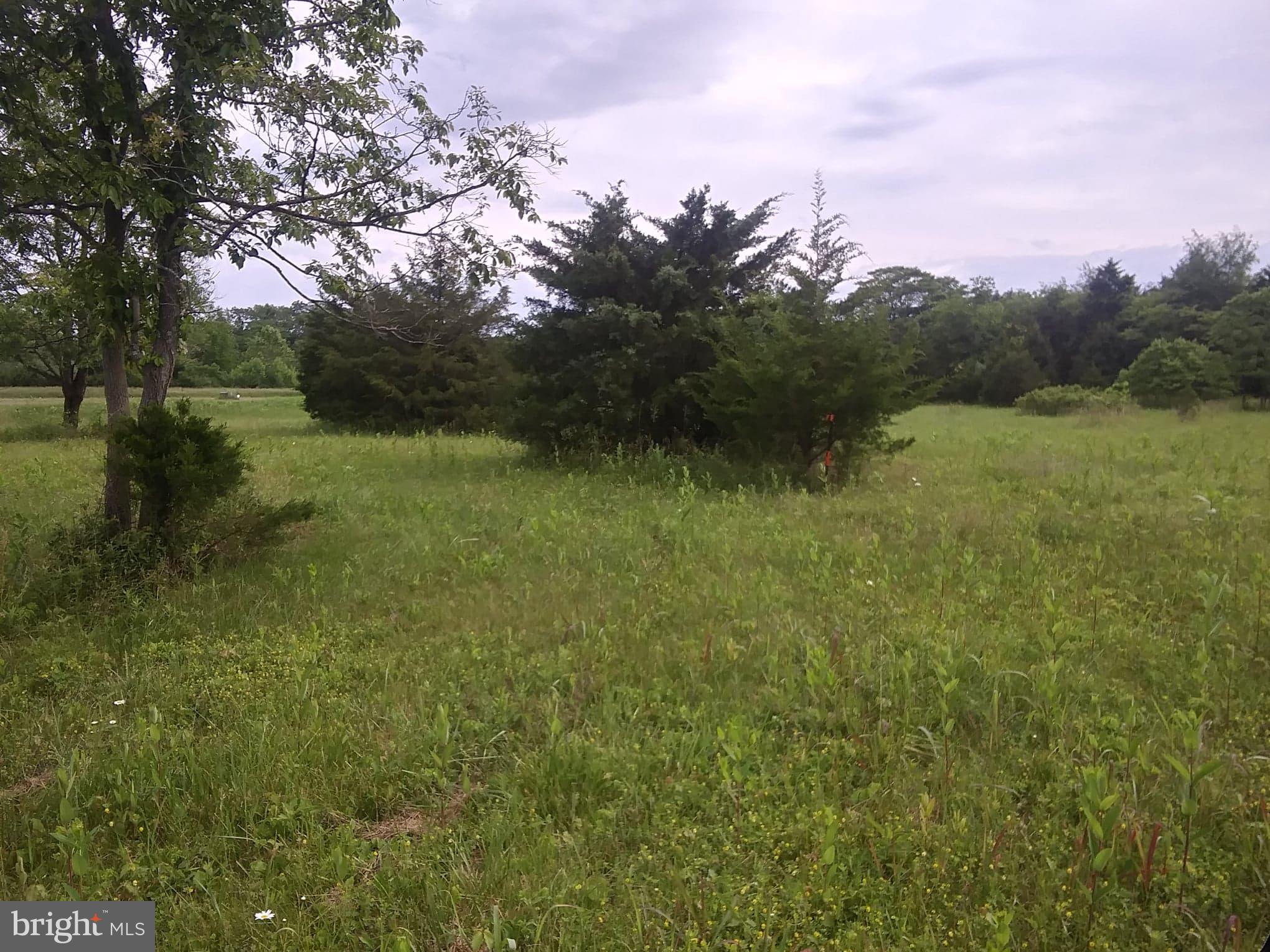 Wright Brothers Ct Summit Point Summit Point, WV 25446 - Photo 19 of 28