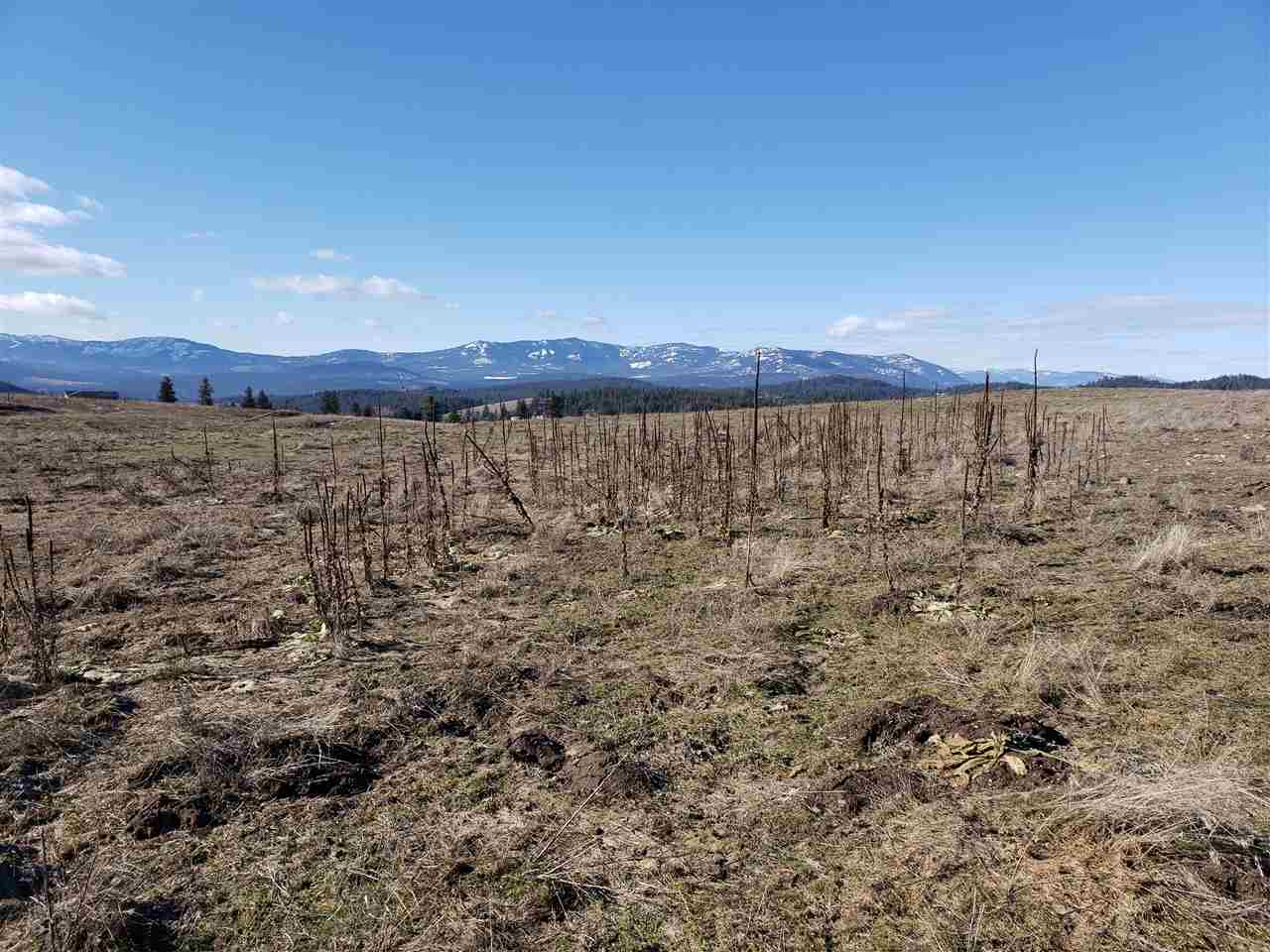 Xxx Mahoney Road Colville, WA 99114 - Photo 3 of 10