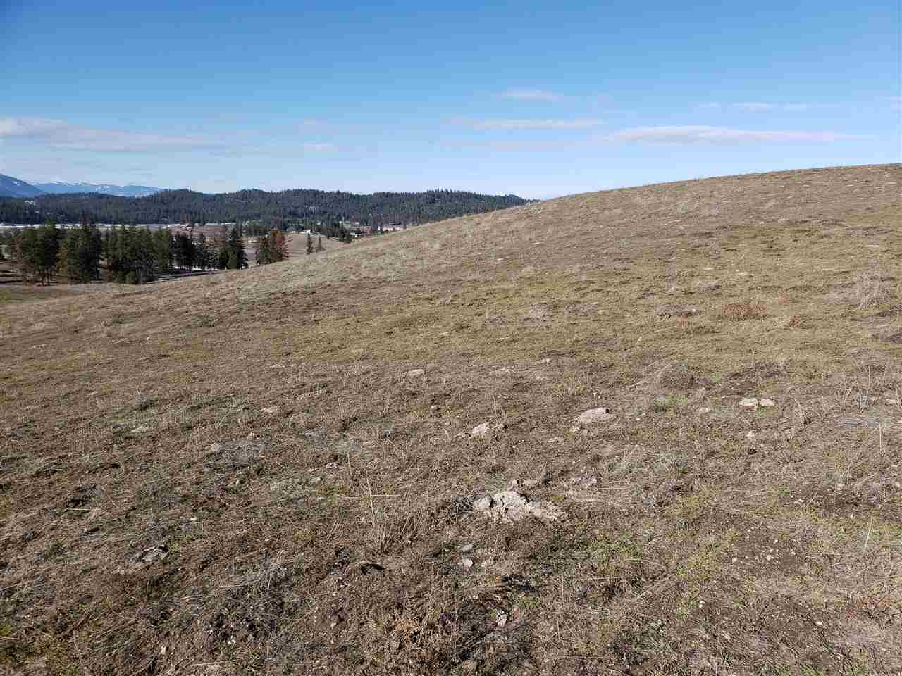 Xxx Mahoney Road Colville, WA 99114 - Photo 8 of 10