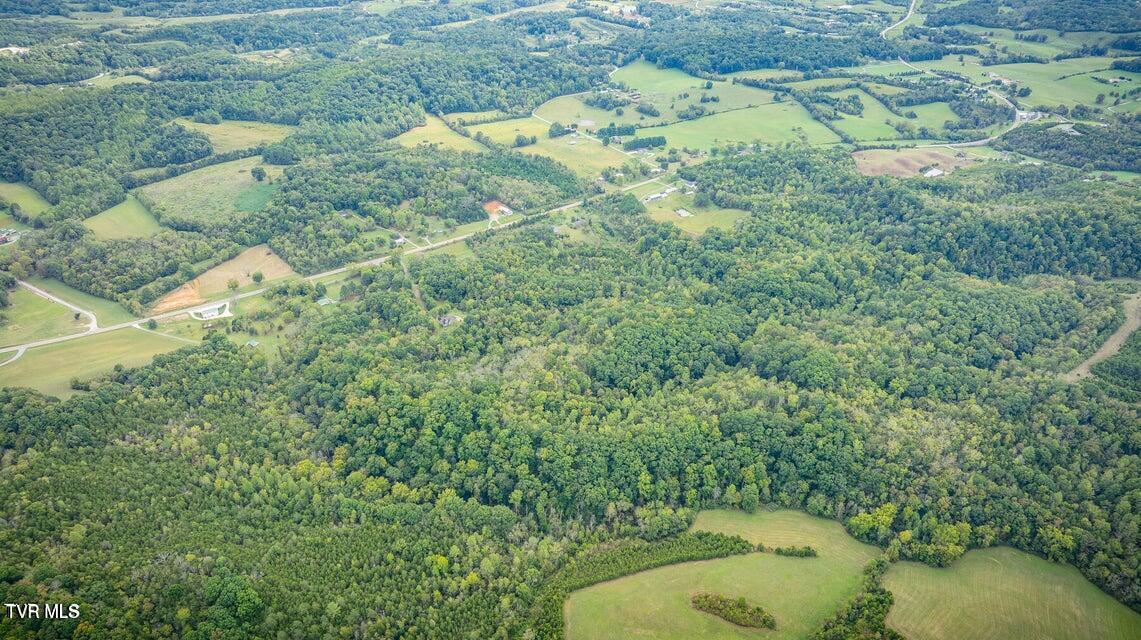 6200 Baileyton Road Greeneville, TN 37745 - Photo 1 of 11 Weems8